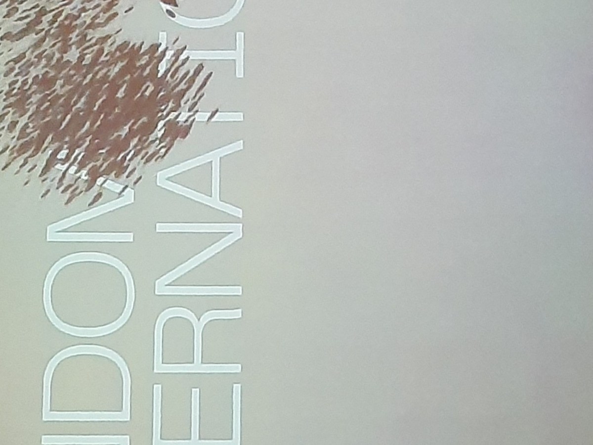 Nxt Museum, de kunst van de toekomst nu al&nbsp;beleven